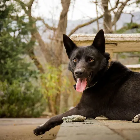 Gospodarstwo agroturystyczne A Ca Vegia