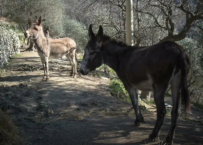 Farmház A Ca Vegia Calice Ligure